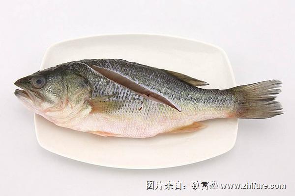 清蒸鲈鱼的家常做法大全