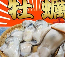 牡蛎养殖大户宋劭轶：好技术，我愿与大家分享