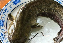 越南前10个月鲶鱼出口额略降