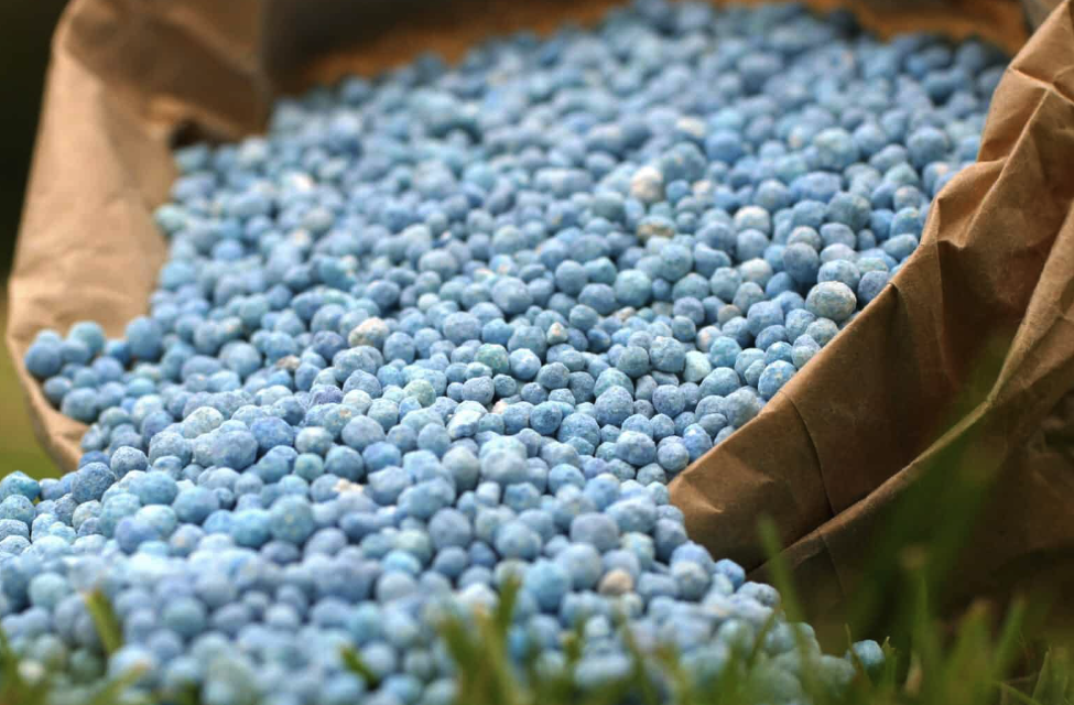 尿素可以补充羊所需的氮吗?