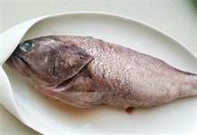 全国首批石斑鱼苗顺利出口