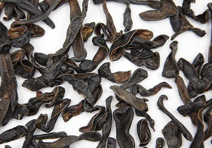 水蛭的产地分布