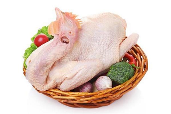 土鸡怎么炖好吃又营养 土鸡的家常做法大全