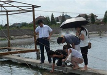 对虾养殖户如何选苗放苗保苗