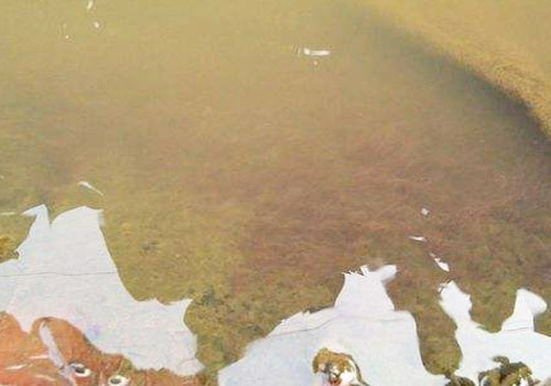 蚯蚓五个销售渠道介绍！