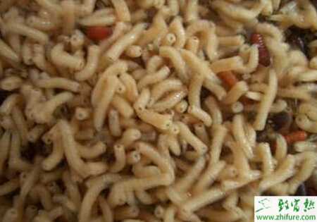 养蝇蛆赚钱吗？