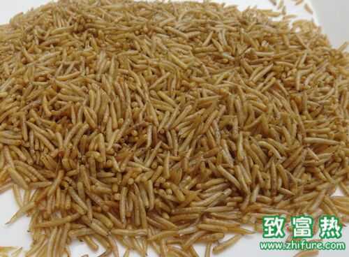 2022养蝇蛆赚钱吗？2022蝇蛆养殖前景及市场价格行情分析