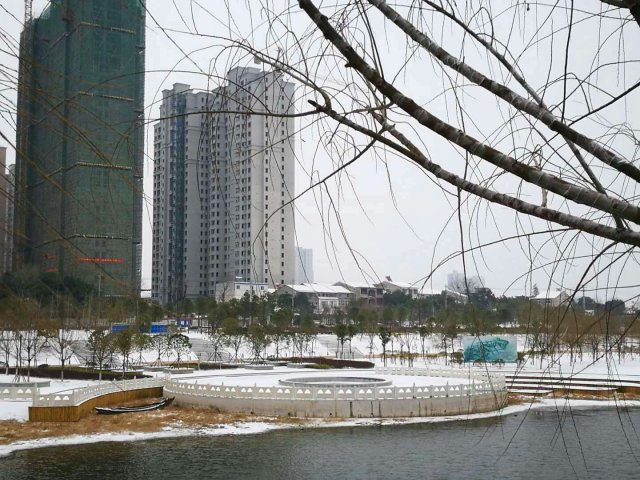 枫林酒价格 枫林酒价格50° 