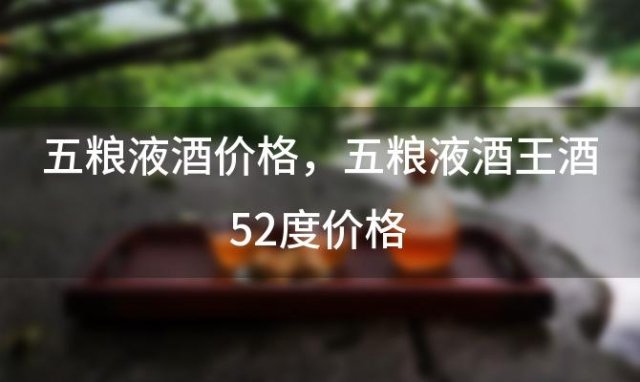 五粮液酒价格 五粮液酒王酒52度价格