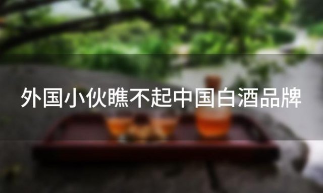 外国小伙瞧不起中国白酒品牌，外国小伙瞧不起中国白酒的原因