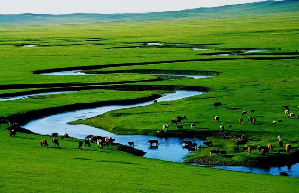 内蒙古好酒有哪些？4大好酒每一款口感都十分不错