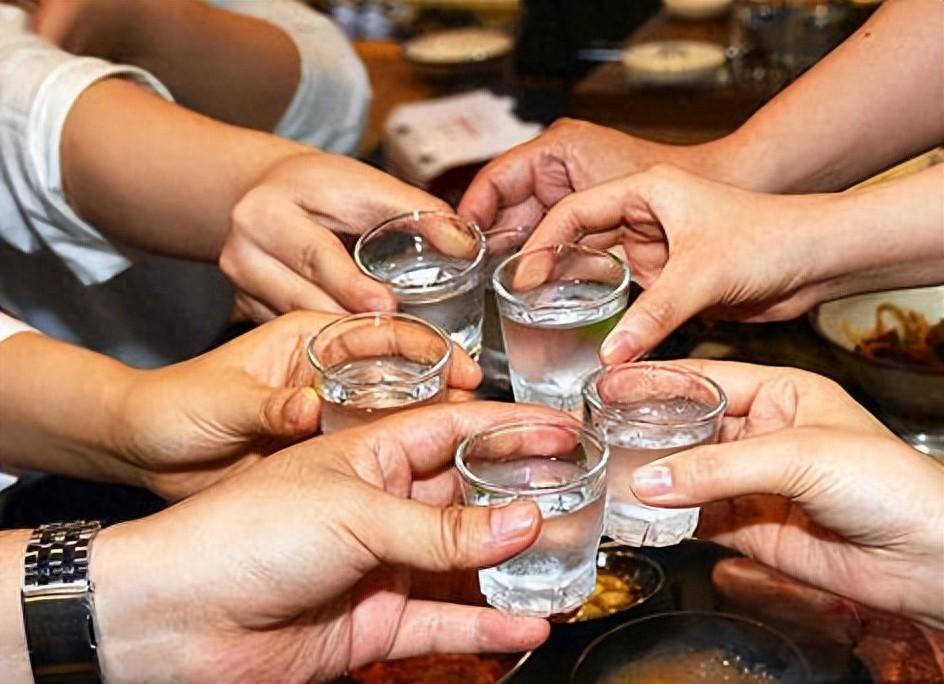 五款平价纯酿“放心酒”，滴滴香醇，酒圈公认高性价比之选！