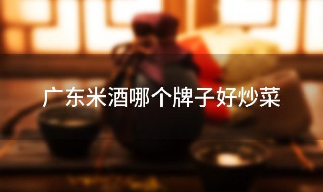 广东米酒哪个牌子好炒菜「广东米酒哪个牌子好一点」