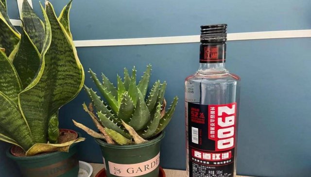 如何保证散装白酒储存质量的小秘密