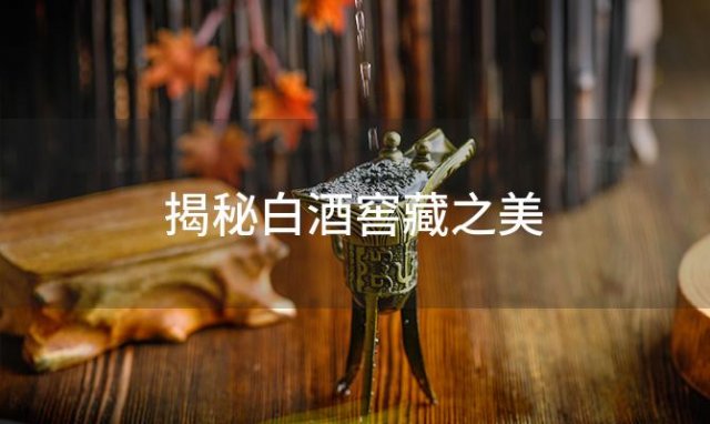 揭秘白酒窖藏之美：探秘其独特好处与对酒质的卓越提升