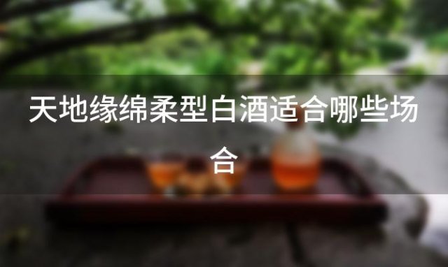 天地缘绵柔型白酒适合哪些场合「如何正确品鉴天地缘绵柔型白酒」 