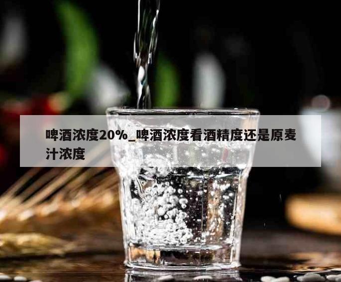 啤酒浓度20%_啤酒浓度看酒精度还是原麦汁浓度