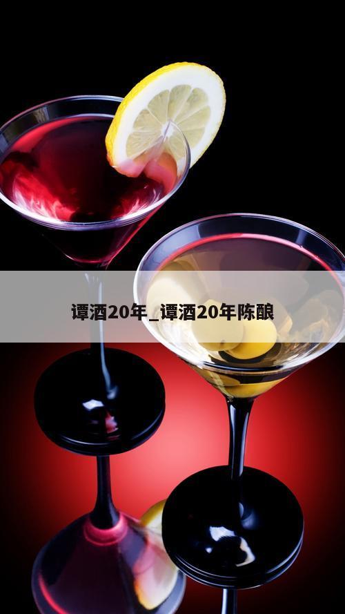 谭酒20年_谭酒20年陈酿 