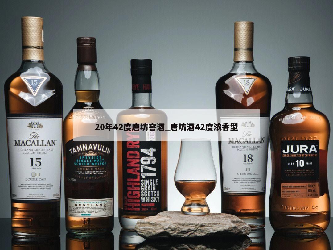 20年42度唐坊窖酒_唐坊酒42度浓香型 