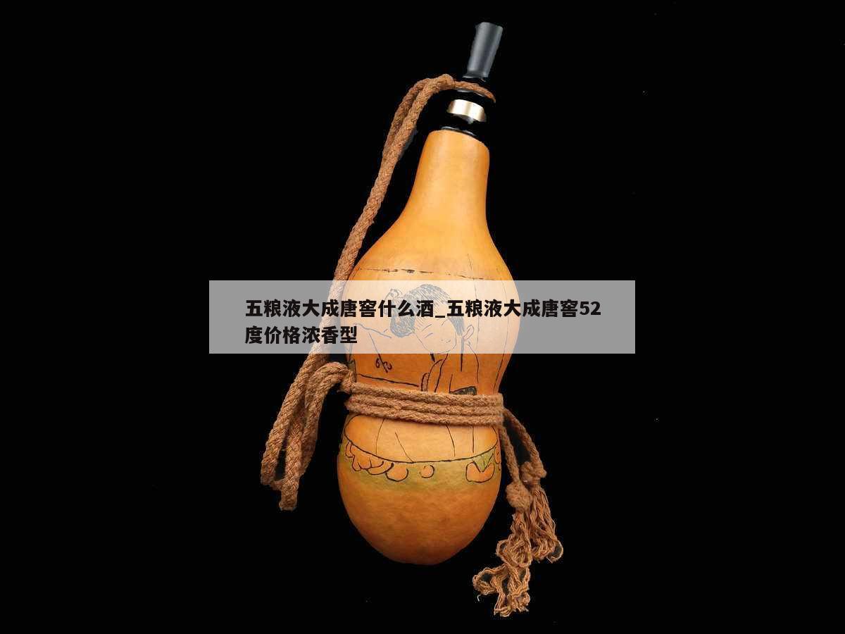 五粮液大成唐窖什么酒_五粮液大成唐窖52度价格浓香型 