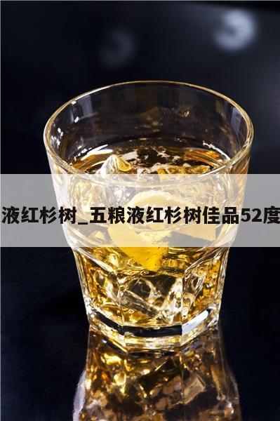 五粮液红杉树_五粮液红杉树佳品52度价格