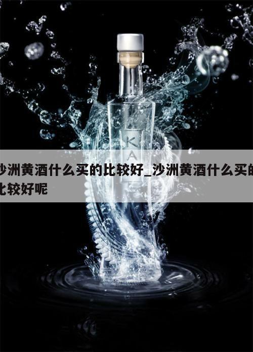 沙洲黄酒什么买的比较好_沙洲黄酒什么买的比较好呢 