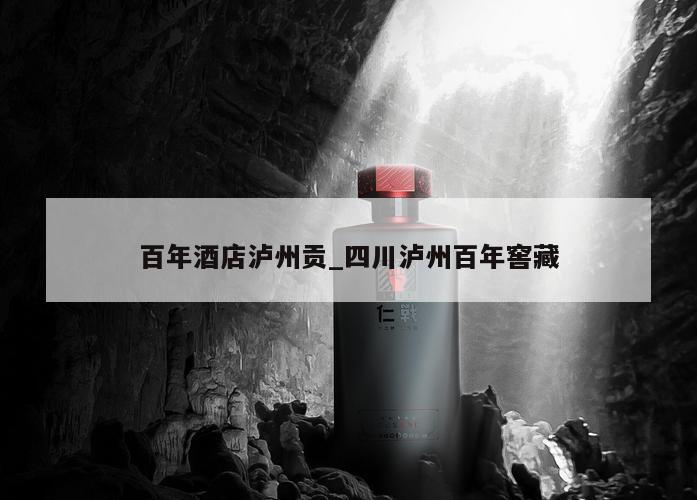 百年酒店泸州贡_四川泸州百年窖藏
