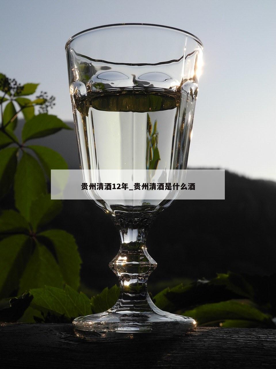 贵州清酒12年_贵州清酒是什么酒