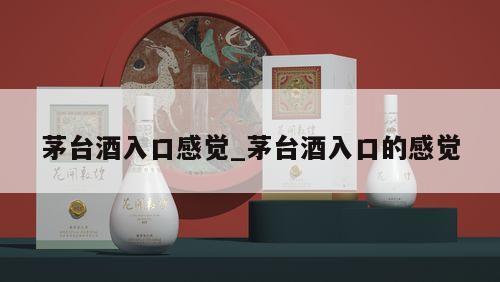 茅台酒入口感觉_茅台酒入口的感觉