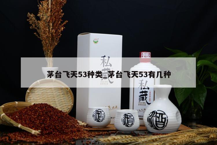 茅台飞天53种类_茅台飞天53有几种