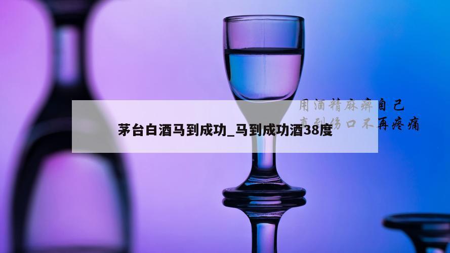 茅台白酒马到成功_马到成功酒38度