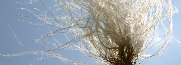 奥地利瓦赫奥葡萄酒分级 