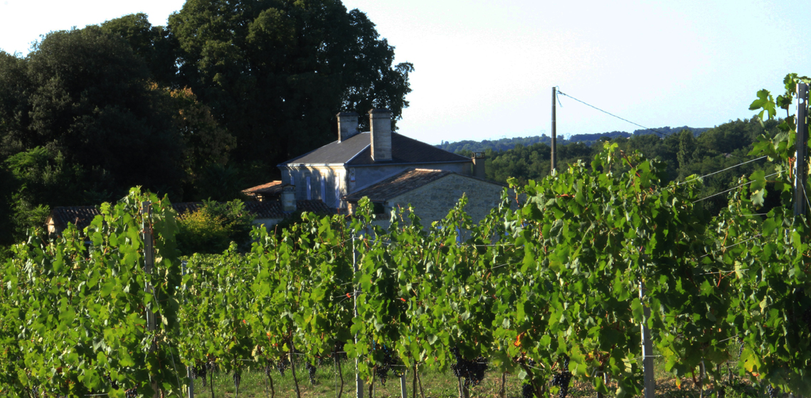 8个要点让你更懂格拉夫