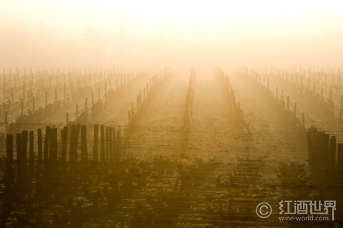 奥地利葡萄酒地图 