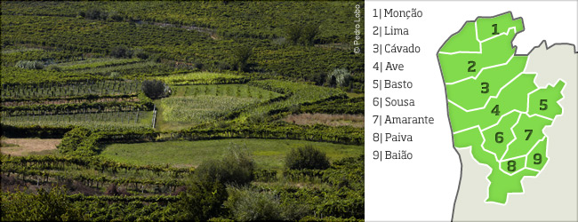 葡萄牙葡萄酒地图
