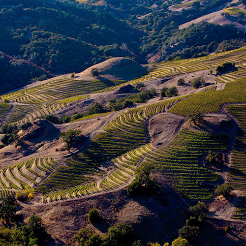 索诺玛月亮山产区概况 