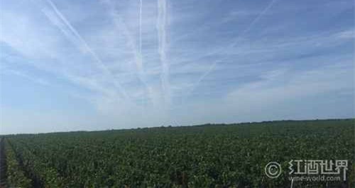 納帕以外，美国11个杰出葡萄酒产区