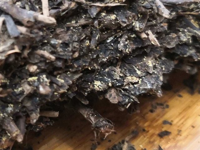 揭秘黑茶奥秘：金花、霉变、白霜，三者有何不同