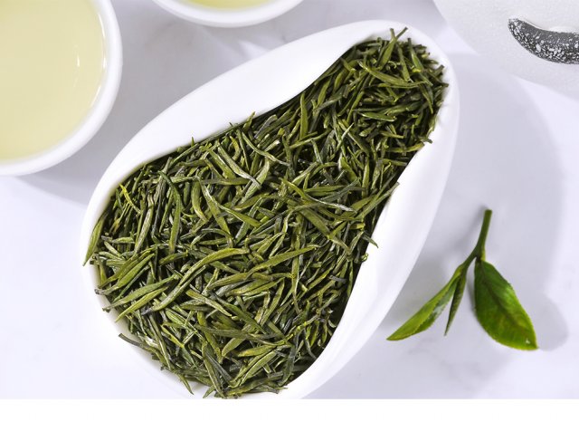 雀舌茶产地哪里较正宗的