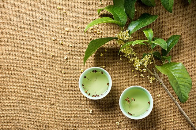 大片叶子茶叫什么茶叶 大片的叫什么茶叶大全 