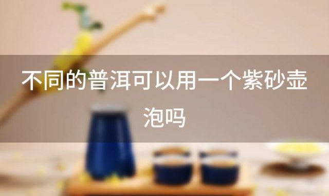 不同的普洱可以用一个紫砂壶泡吗