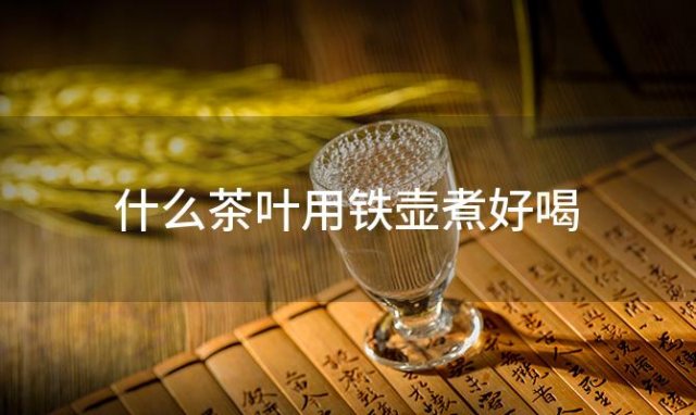 什么茶叶用铁壶煮好喝，什么茶叶用铁壶煮比较好
