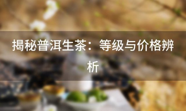 揭秘普洱生茶：等级与价格辨析，品质好茶的选购秘诀
