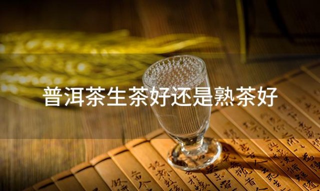 普洱茶生茶好还是熟茶好，普洱茶生茶好喝还是熟茶好喝