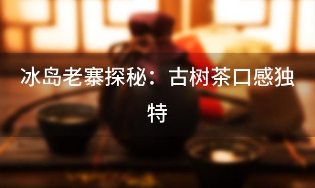 冰岛老寨探秘：古树茶口感独特，邀你共赴一场茶香之旅
