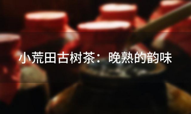 小荒田古树茶：晚熟的韵味，大器的风华