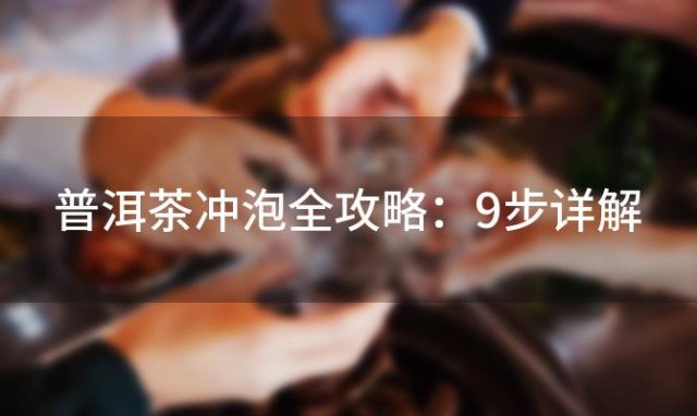 普洱茶冲泡全攻略：9步详解，泡茶技巧珍藏版