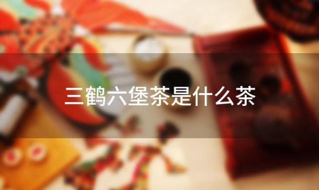三鹤六堡茶是什么茶 
