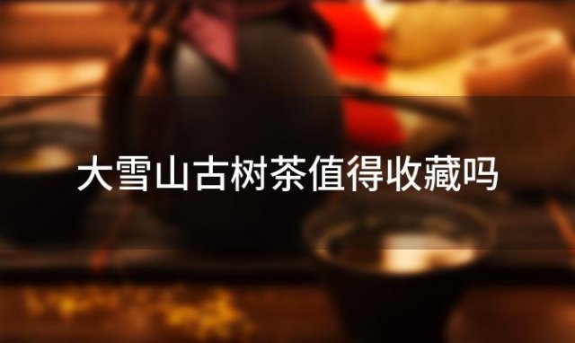 大雪山古树茶值得收藏吗 