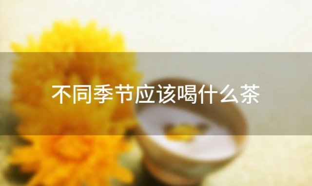 不同季节应该喝什么茶「不同季节喝的茶」 